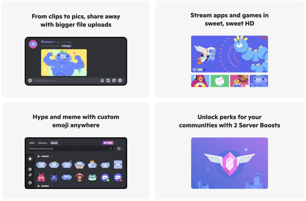 fungsi discord nitro