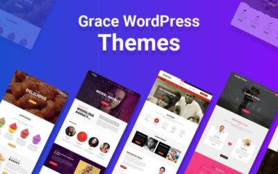 Mengenal Keunggulan, Fitur dan Cara Membeli Tema di Grace Themes