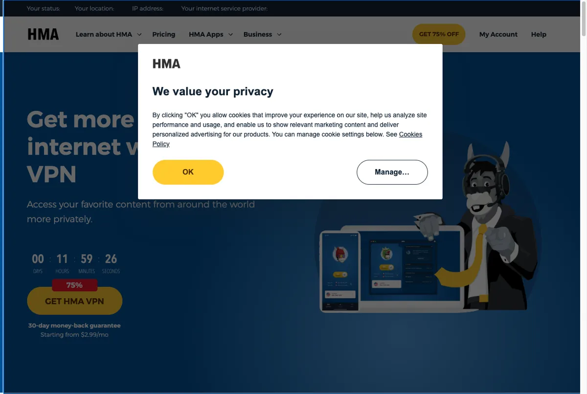 Harga paket HMA VPN di halaman resmi per Juli 2026