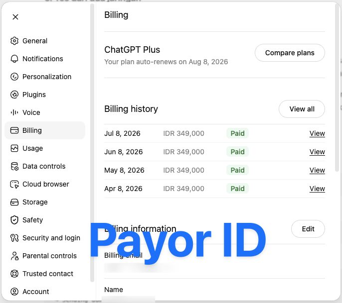 plan ChatGPT Plus Payor