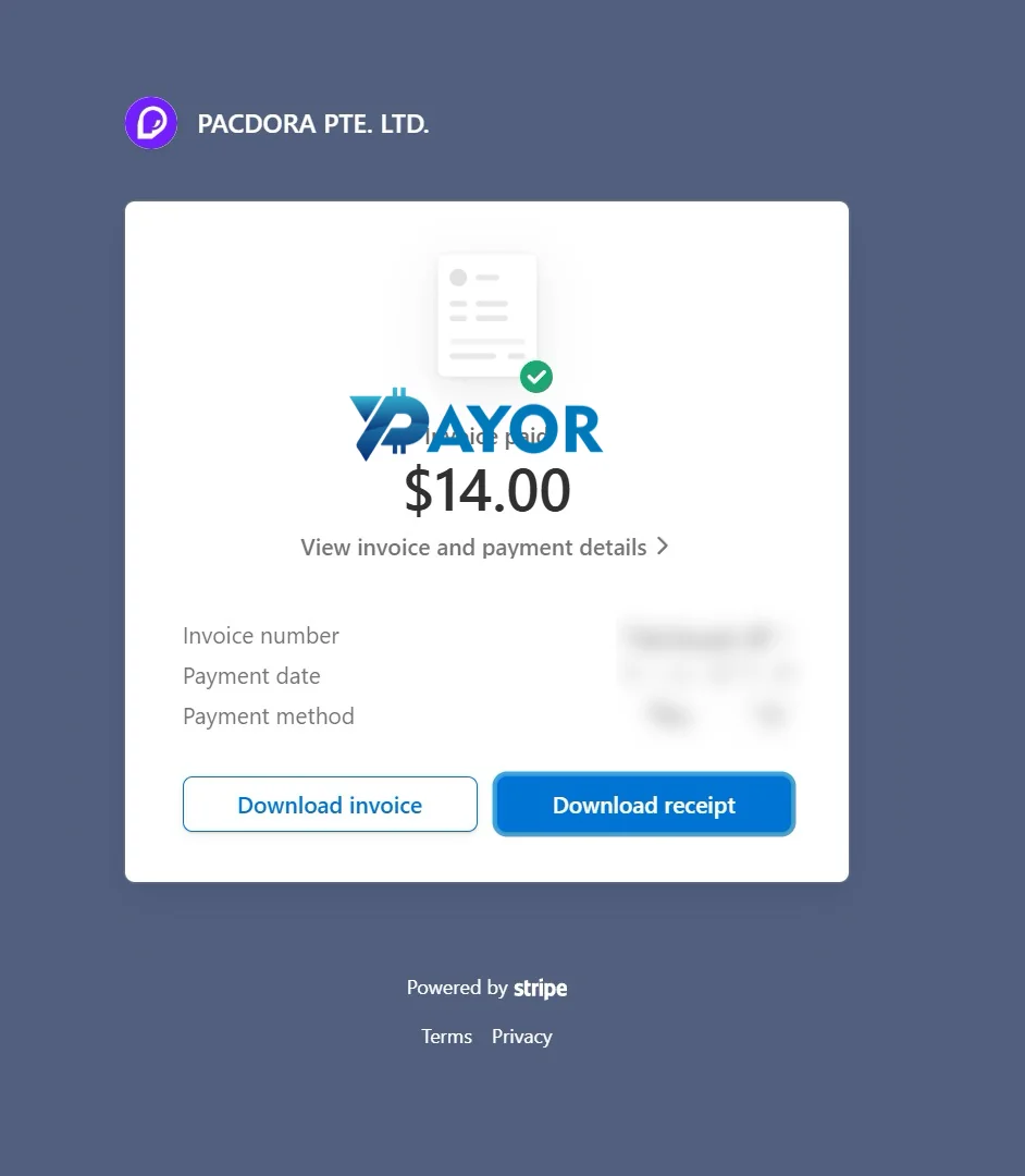 Halaman Stripe Pacdora menampilkan invoice US$14 sudah lunas